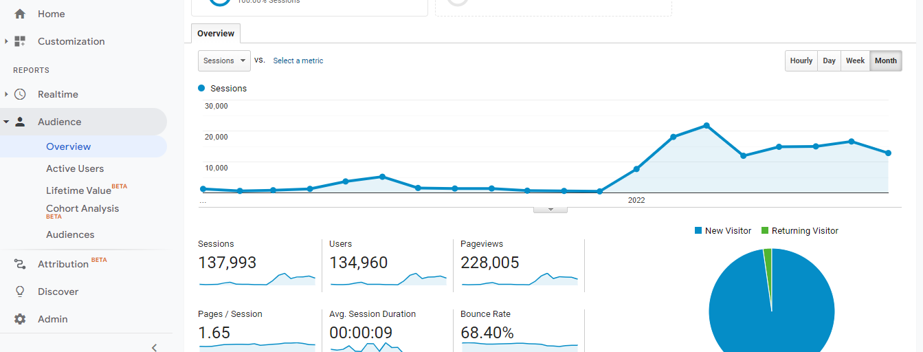 Visitor Analysis Report